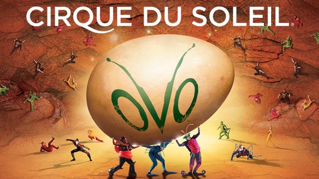 Концерт Cirque du Soleil OVO в Майами